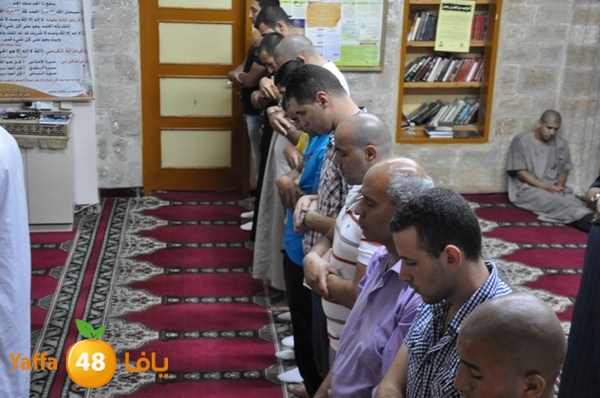 msajed amer qder 804 (21).JPG